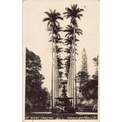 Rare collectable postcards of BRAZIL. Vintage Postcards of BRAZIL