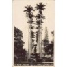 Rare collectable postcards of BRAZIL. Vintage Postcards of BRAZIL