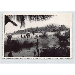 Rare collectable postcards of VIET-NAM. Vintage Postcards of VIET-NAM