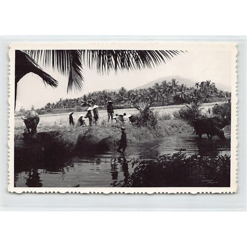 Rare collectable postcards of VIET-NAM. Vintage Postcards of VIET-NAM