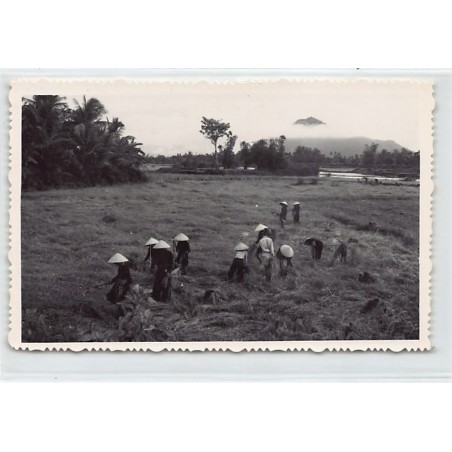 Rare collectable postcards of VIET-NAM. Vintage Postcards of VIET-NAM