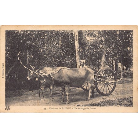 Rare collectable postcards of VIET-NAM. Vintage Postcards of VIET-NAM