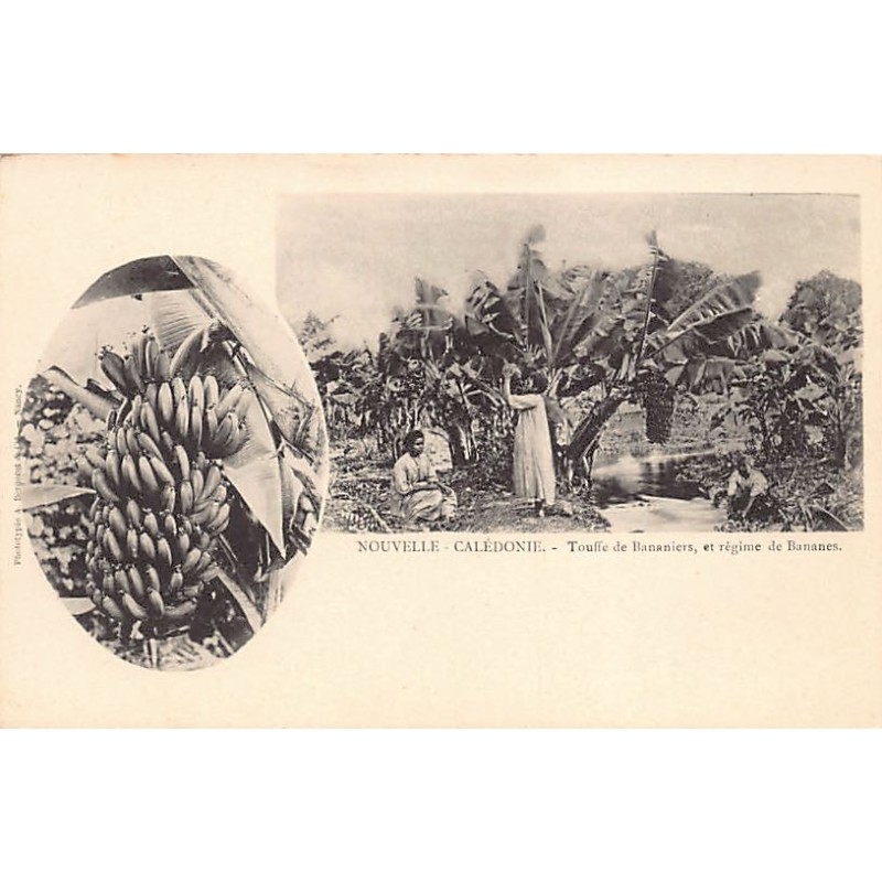 Rare collectable postcards of NEW CALEDONIA Nouvelle-Calédonie. Vintage Postcards of NEW CALEDONIA Nouvelle-Calédonie