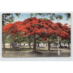 Rare collectable postcards of NEW CALEDONIA Nouvelle-Calédonie. Vintage Postcards of NEW CALEDONIA Nouvelle-Calédonie