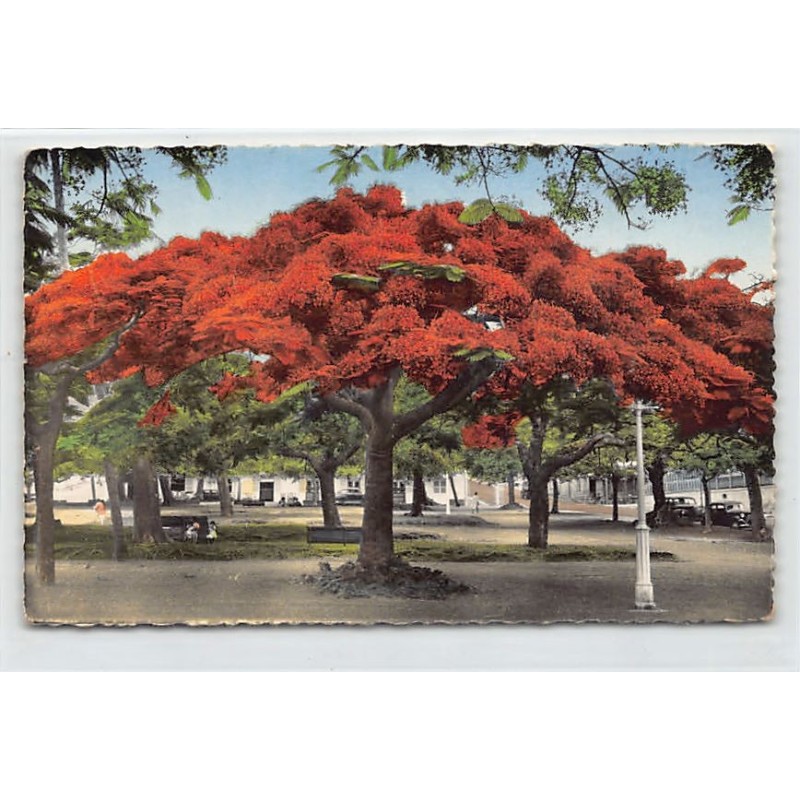 Rare collectable postcards of NEW CALEDONIA Nouvelle-Calédonie. Vintage Postcards of NEW CALEDONIA Nouvelle-Calédonie