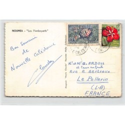 Rare collectable postcards of NEW CALEDONIA Nouvelle-Calédonie. Vintage Postcards of NEW CALEDONIA Nouvelle-Calédonie