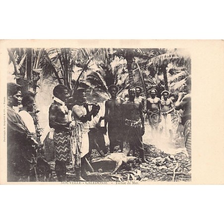 Rare collectable postcards of NEW CALEDONIA Nouvelle-Calédonie. Vintage Postcards of NEW CALEDONIA Nouvelle-Calédonie