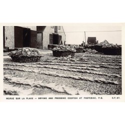 Rare collectable postcards of CANADA. Vintage Postcards of CANADA