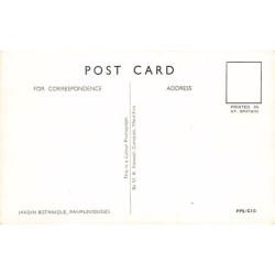 Rare collectable postcards of MAURITIUS. Vintage Postcards of MAURITIUS
