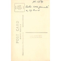 Rare collectable postcards of EGYPT. Vintage Postcards of EGYPT