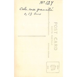 Rare collectable postcards of EGYPT. Vintage Postcards of EGYPT