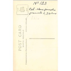 Rare collectable postcards of EGYPT. Vintage Postcards of EGYPT