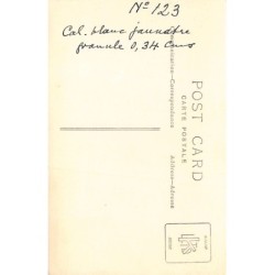 Rare collectable postcards of EGYPT. Vintage Postcards of EGYPT