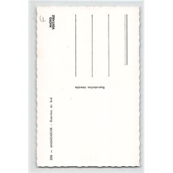Rare collectable postcards of MADAGASCAR. Vintage Postcards of MADAGASCAR
