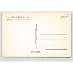 Rare collectable postcards of MADAGASCAR. Vintage Postcards of MADAGASCAR