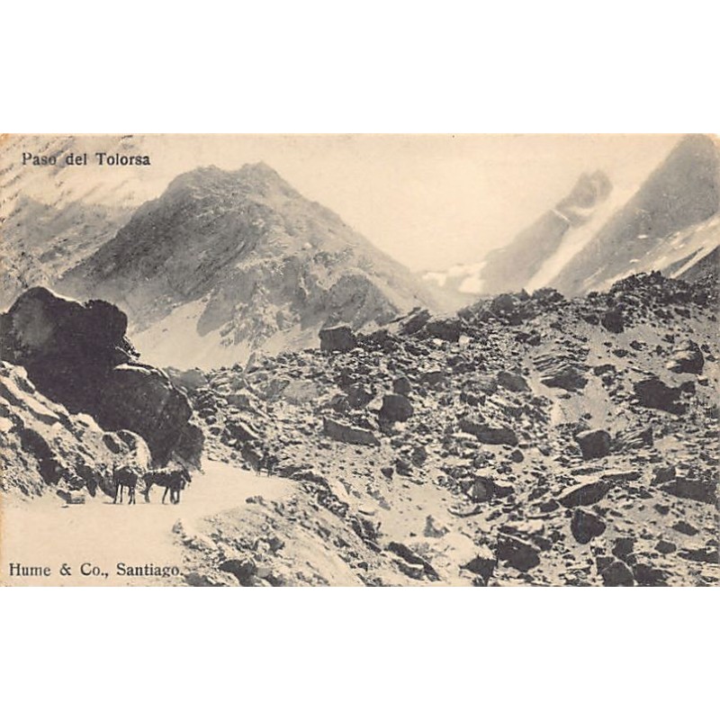 Rare collectable postcards of CHILE Chili. Vintage Postcards of CHILE Chili