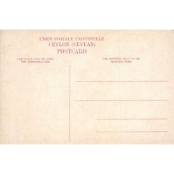 Rare collectable postcards of SRI LANKA Ceylon. Vintage Postcards of SRI LANKA Ceylon