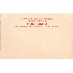 Rare collectable postcards of SRI LANKA Ceylon. Vintage Postcards of SRI LANKA Ceylon