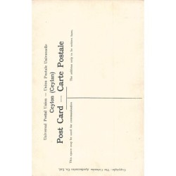 Rare collectable postcards of SRI LANKA Ceylon. Vintage Postcards of SRI LANKA Ceylon