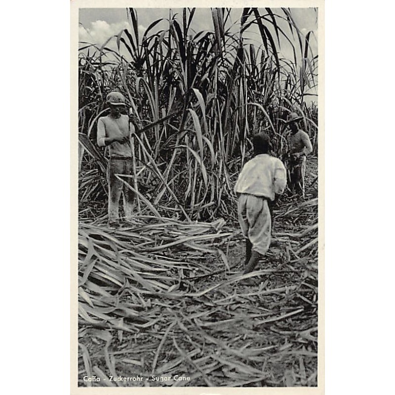 Rare collectable postcards of COLOMBIA. Vintage Postcards of COLOMBIA