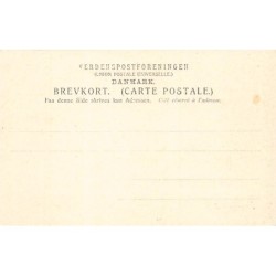 Rare collectable postcards of DENMARK. Vintage Postcards of DENMARK