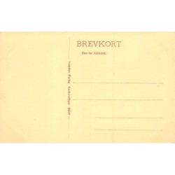 Rare collectable postcards of DENMARK. Vintage Postcards of DENMARK