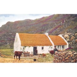Rare collectable postcards of IRELAND. Vintage Postcards of IRELAND