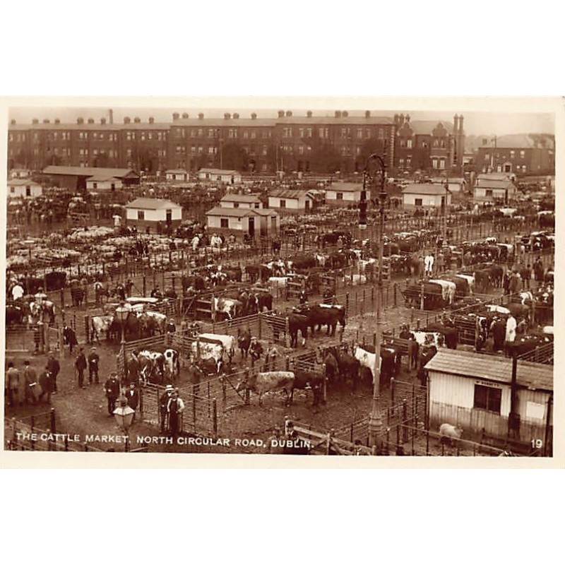 Rare collectable postcards of IRELAND. Vintage Postcards of IRELAND