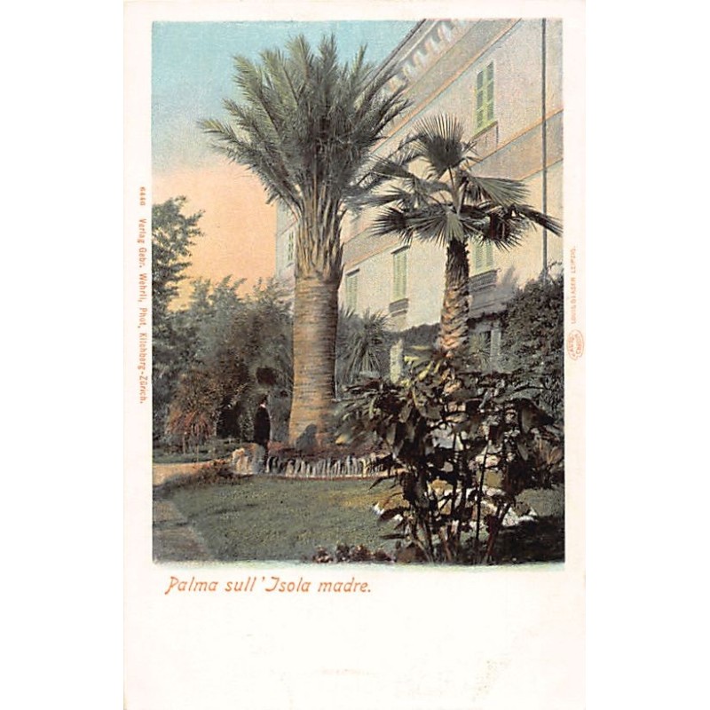 Rare collectable postcards of ITALY Italia. Vintage Postcards of ITALY Italia