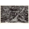Rare collectable postcards of NETHERLANDS Nederland. Vintage Postcards of NETHERLANDS Nederland