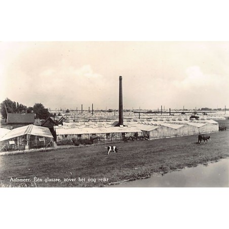 Rare collectable postcards of NETHERLANDS Nederland. Vintage Postcards of NETHERLANDS Nederland