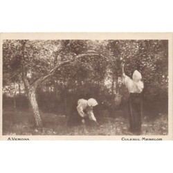 Rare collectable postcards of ROMANIA. Vintage Postcards of ROMANIA