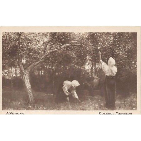 Rare collectable postcards of ROMANIA. Vintage Postcards of ROMANIA