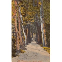 Rare collectable postcards of ROMANIA. Vintage Postcards of ROMANIA