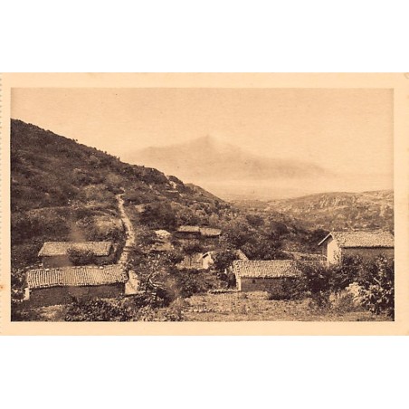 Rare collectable postcards of TURKEY. Vintage Postcards of TURKEY