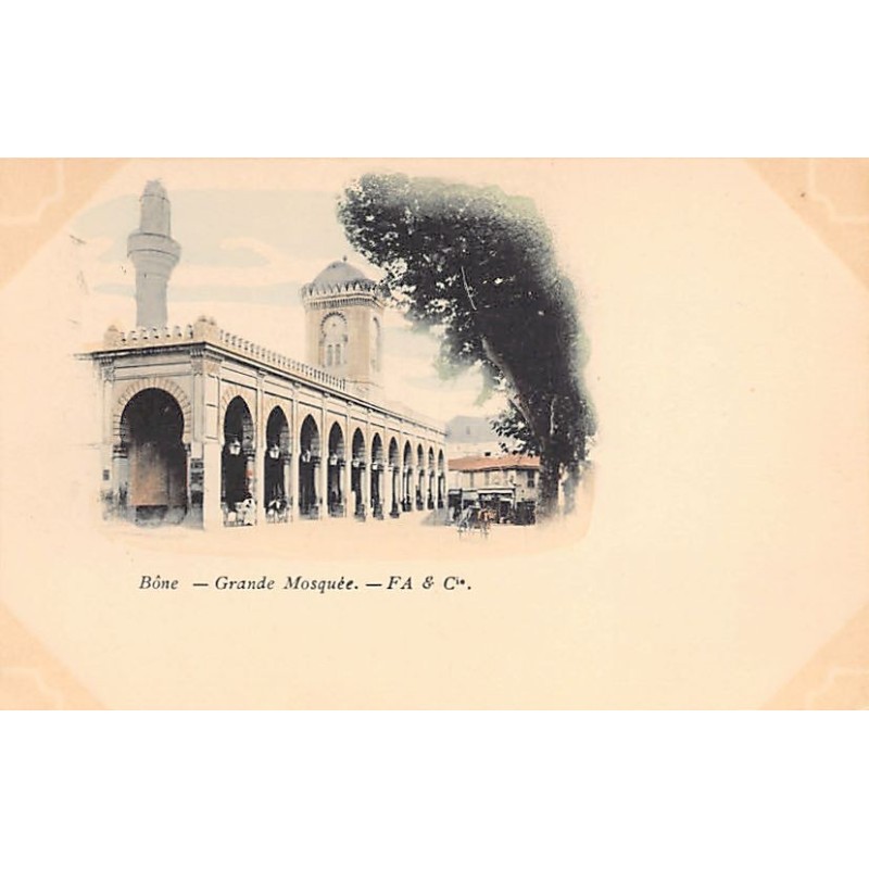 Rare collectable postcards of ALGERIA. Vintage Postcards of ALGERIA