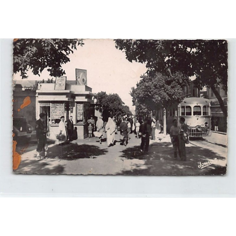 Rare collectable postcards of ALGERIA. Vintage Postcards of ALGERIA