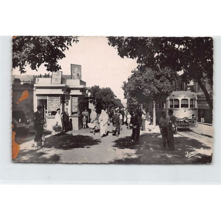 Rare collectable postcards of ALGERIA. Vintage Postcards of ALGERIA