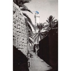 Rare collectable postcards of ALGERIA. Vintage Postcards of ALGERIA