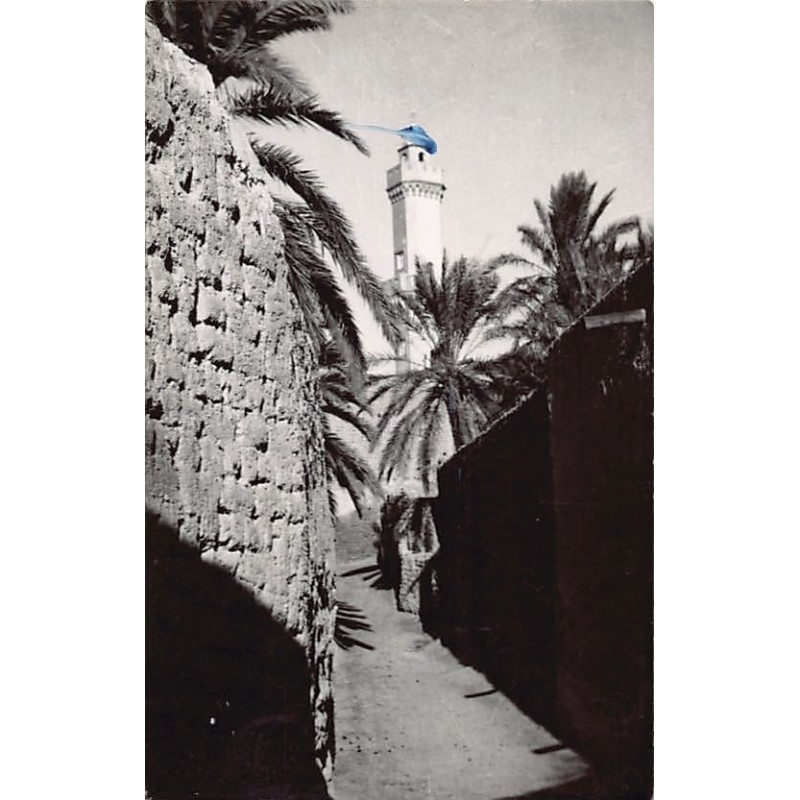 Rare collectable postcards of ALGERIA. Vintage Postcards of ALGERIA
