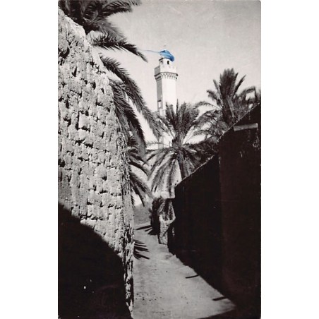 Rare collectable postcards of ALGERIA. Vintage Postcards of ALGERIA