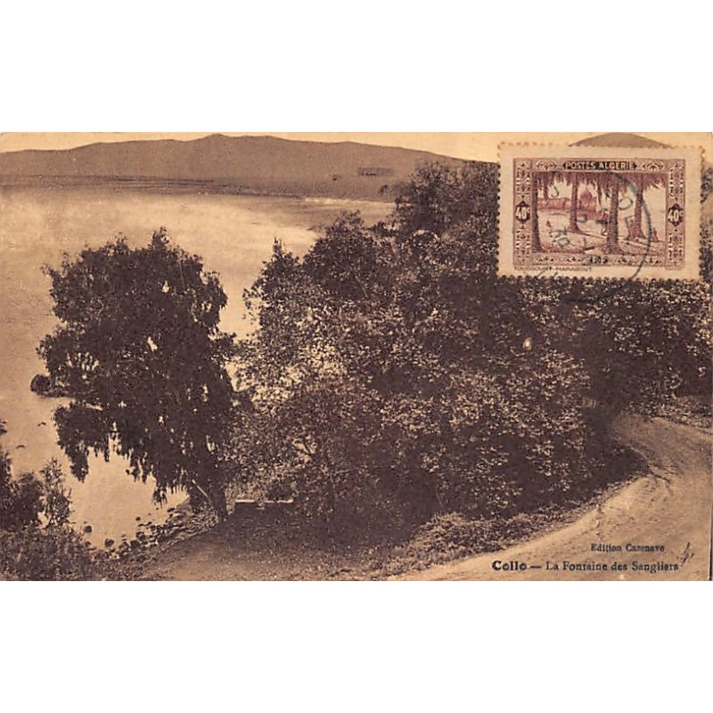 Rare collectable postcards of ALGERIA. Vintage Postcards of ALGERIA