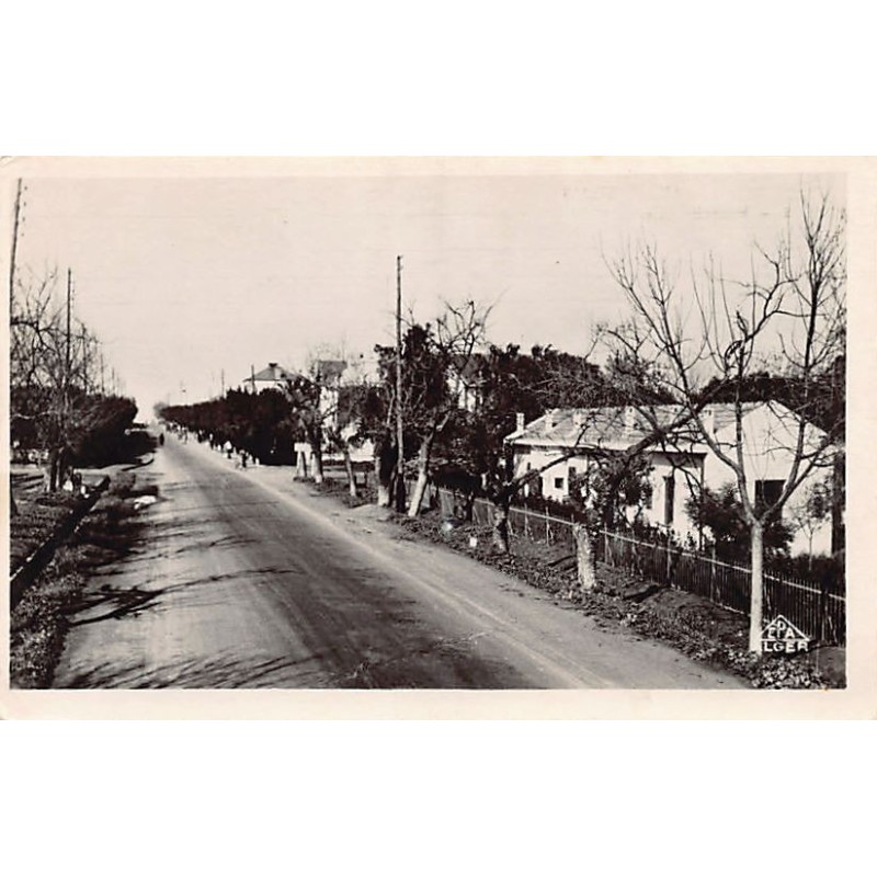 Rare collectable postcards of ALGERIA. Vintage Postcards of ALGERIA