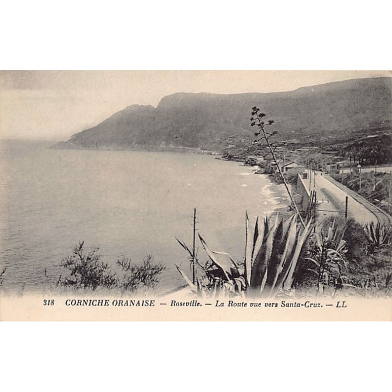 Rare collectable postcards of ALGERIA. Vintage Postcards of ALGERIA