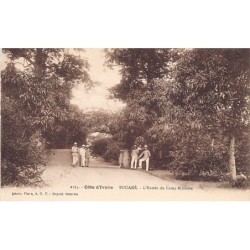 Rare collectable postcards of IVORY COAST Côte d'Ivoire. Vintage Postcards of IVORY COAST Côte d'Ivoire