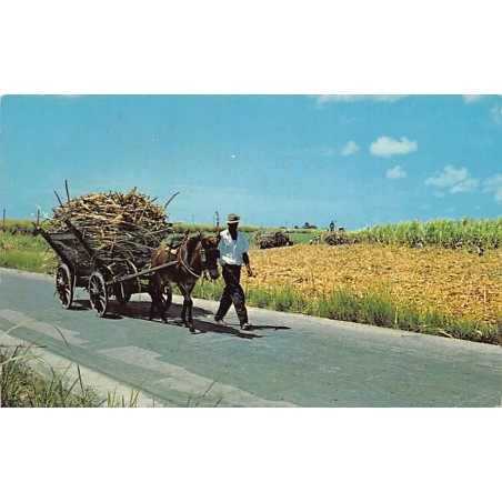 Rare collectable postcards of BARBADOS. Vintage Postcards of BARBADOS