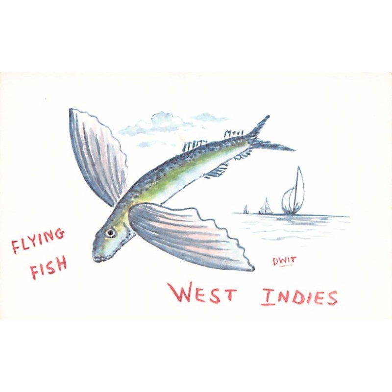 Rare collectable postcards of BARBADOS. Vintage Postcards of BARBADOS