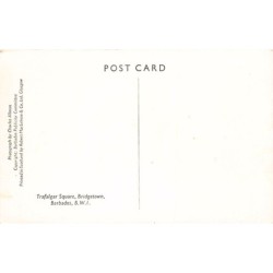 Rare collectable postcards of BARBADOS. Vintage Postcards of BARBADOS