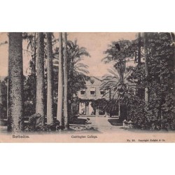 Rare collectable postcards of BARBADOS. Vintage Postcards of BARBADOS