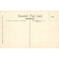 Rare collectable postcards of BERMUDA. Vintage Postcards of BERMUDA